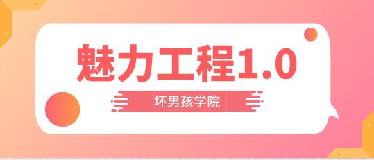 [9.9GB]小鹿情感：坏男孩《魅力工程1.0》完整版【120701】