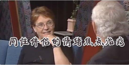 【完结】苏 约翰逊博士(Dr. Sue Johnson) 同性伴侣的情绪焦点治疗