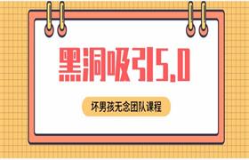 坏男孩无念团队《黑洞吸引5.0》