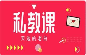 [19.6GB]天边的老白《私教课》